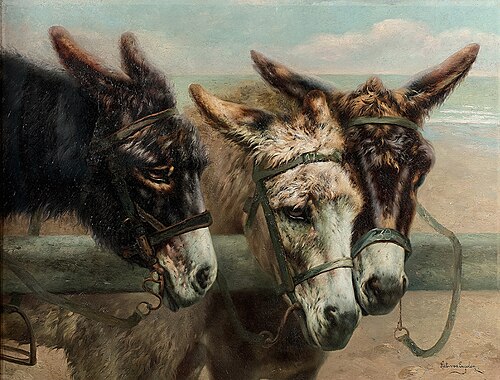 Donkeys at the fence, 1903, Piet van Engelen