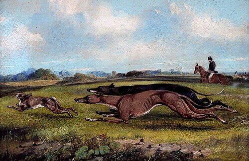 Two Greyhounds Coursing a Hare, , Samuel Henry Alken