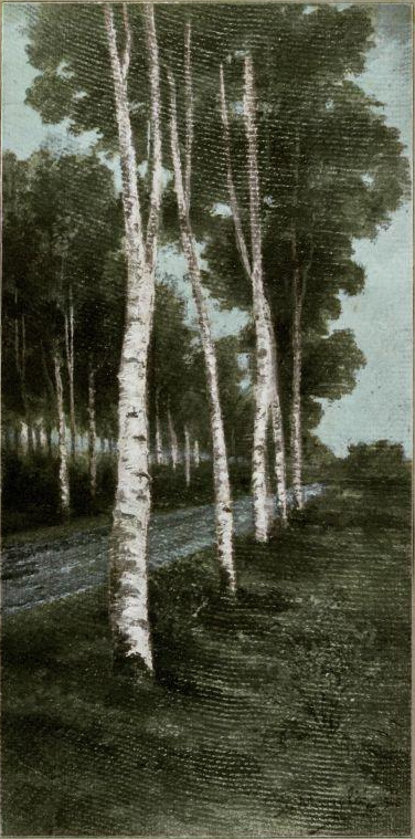 Brezov drevored v Črrni vasi, 1906, Srečko Magolič
