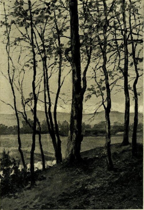 Jesen III, 1915, Srečko Magolič