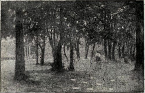Ivan Hribarjev gaj, 1915, Srečko Magolič