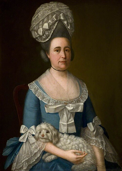Portrait of a Lady, 1780, Strickland Lowry