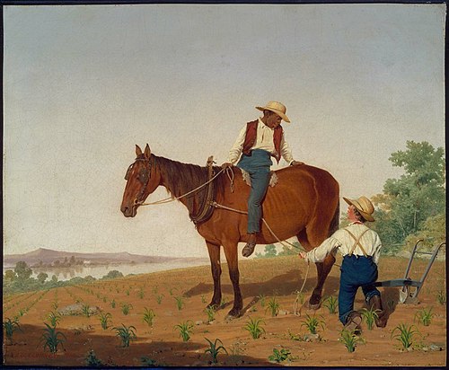 In the Cornfield, 1844, James Goodwyn Clonney