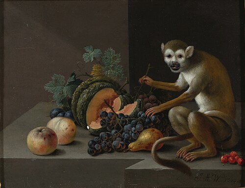 A monkey with grapes, peaches, a melon and other fruit on a stone ledge, 1804, Johann Amandus Winck