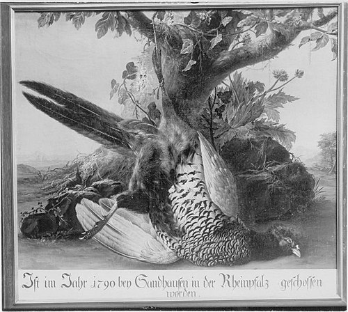 Toter Fasan, 1790, Johann Amandus Winck