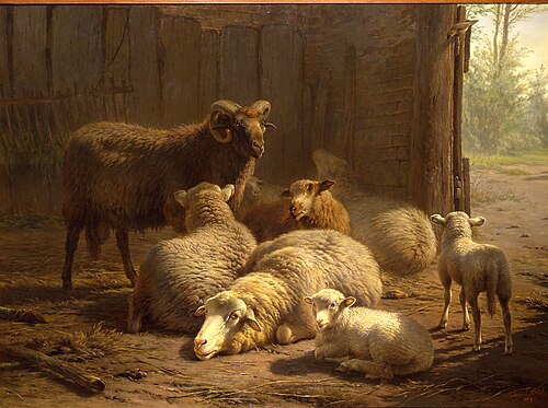 Stal met schapen, 1889, Frans Lebret