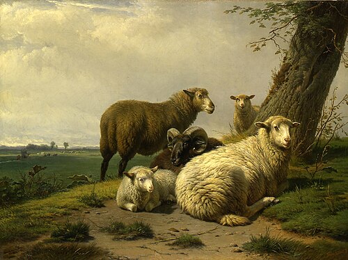 Landschap met schapen bij een boom, , Frans Lebret