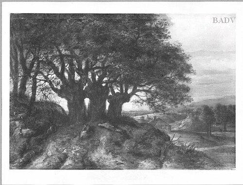 Trees in the evening, 1632, Jan Andrea Lievens