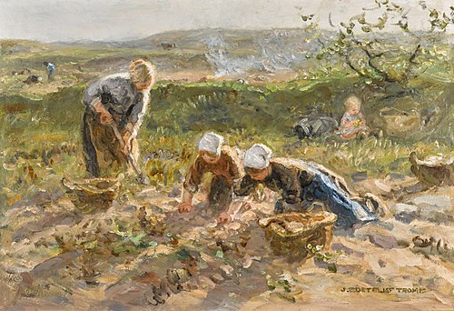 The Potato Harvest, , Jan Zoetelief Tromp