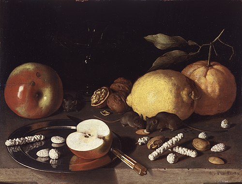 Still Life with Mice, 1619, Ludovico de Susio