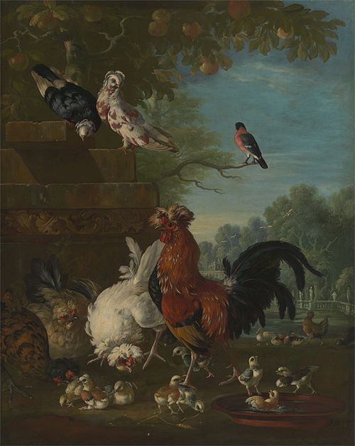 Domestic cock, hens, and chicks in a park, 1730, Pieter Casteels II