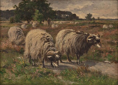 Heidschnucken with shepherd, , August Voigt-Fölger