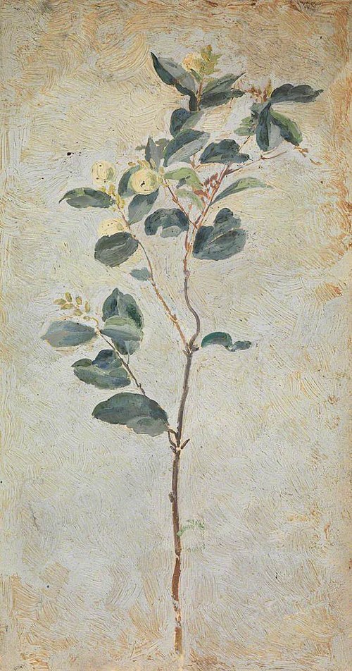 A plant (recto) A profile of a girl (verso), 1880, Beatrice Whistler