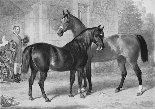 Nimrod and Alma, 1875, Gourlay Steell