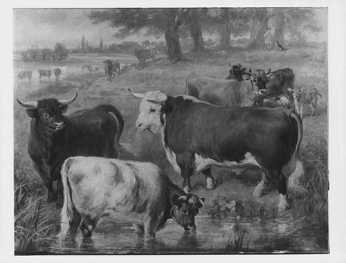 Favourite Cattle at Windsor, 1876, Gourlay Steell