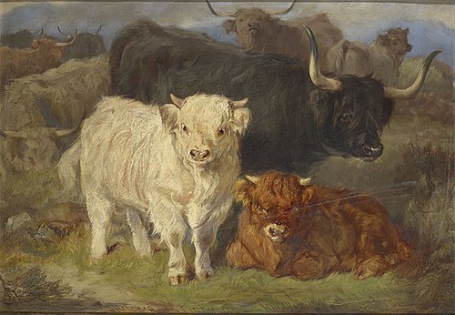 A study of Highland Cattle, 1873, Gourlay Steell