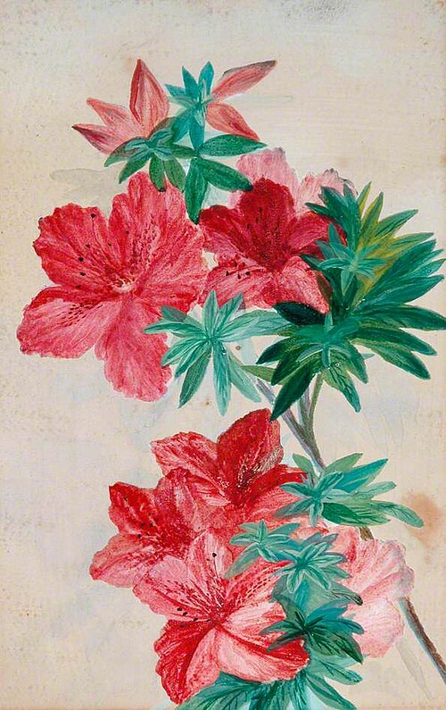 Red Flowers, , Mary Linskill