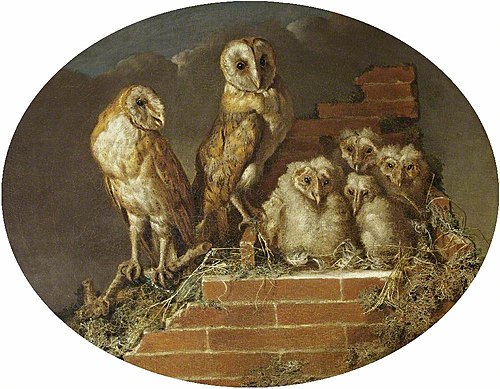 Barn Owls with their Brood, 1775, William Tomkins
