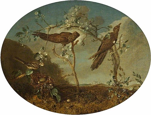 Cuckoos displacing a Finch's Egg, 1775, William Tomkins