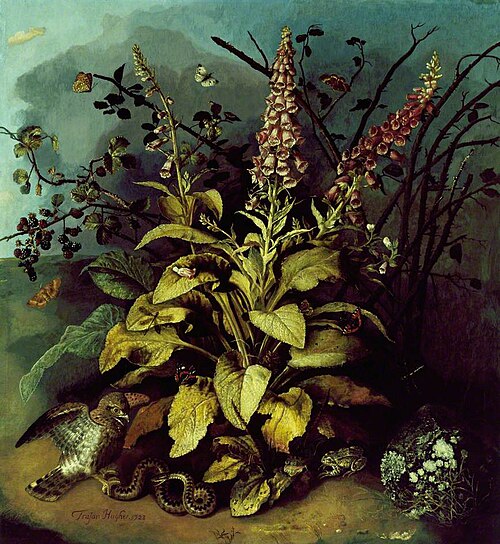 Still Life with Insects on Foxgloves, 1723, Trajan Hughes