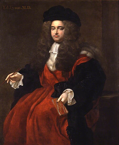 Edward Tyson (1650–1708), 1695, Edmund Lilly