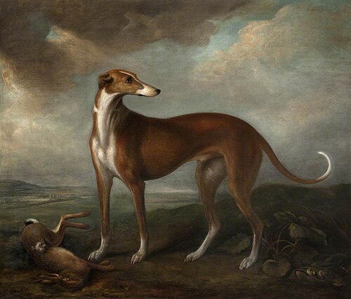 A Hound in a Landscape, 1815, James Howe