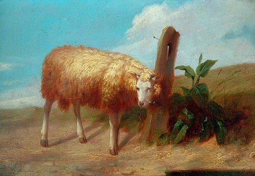 Sheep, 1835, John Rhodes
