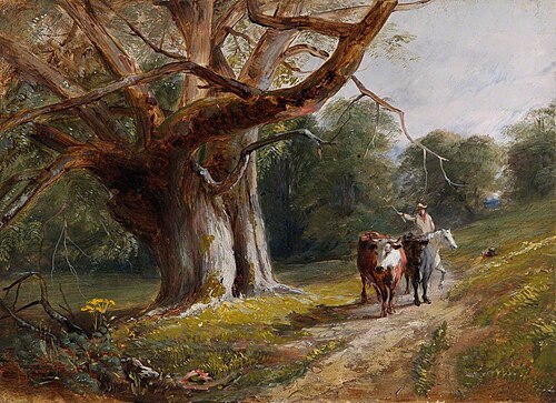 Woodland Scene with Cows, , David McKewan