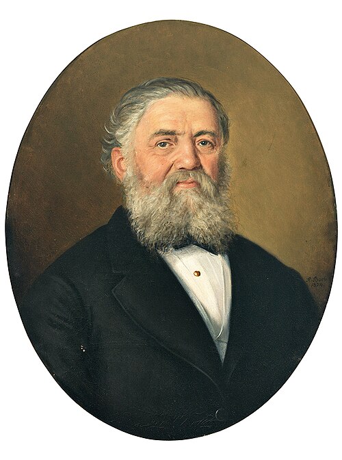 Portrait des Johannes Schmid aus Thalwil., 1874, Anton Boch