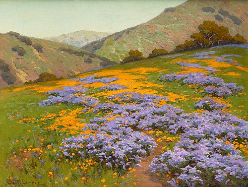 Wild Heliotrope and Poppies, San Francisco, 1906, John Marshall Gamble