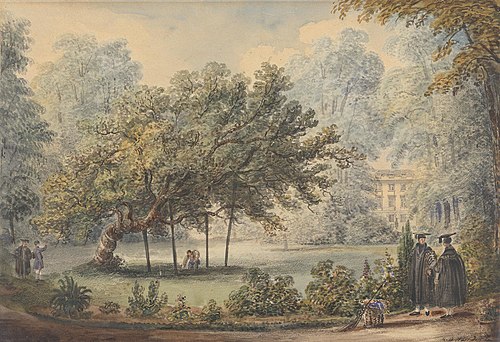 Milton's Mulberry Tree, Christ's College Gardens, Cambridge, , Richard Bankes Harraden
