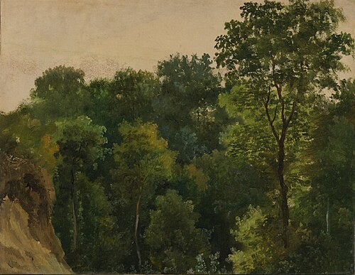 Tree study, 1840, Jean-Michel Cels
