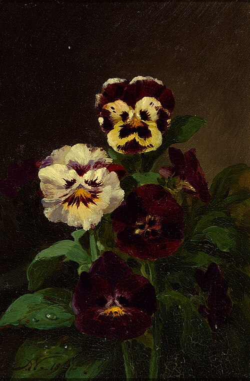 Pansies, 1862, John Williamson
