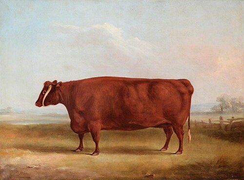 A Longhorn Cow in a Landscape, the Property of John Henry Whitmore-Jones of Chastleton, 1840, William Henry Davis