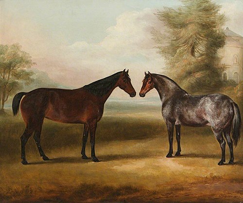 A Pair of Horses, 1852, William Henry Davis