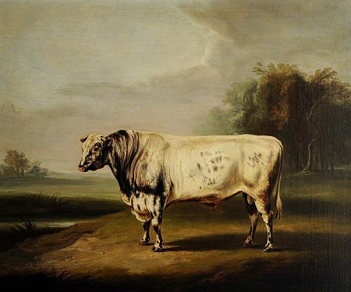 A Prize Grey Shorthorn Bull by a Pond, 1830, William Henry Davis