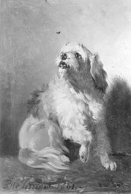 Het vliegenhappertje, 1861, Bernard te Gempt