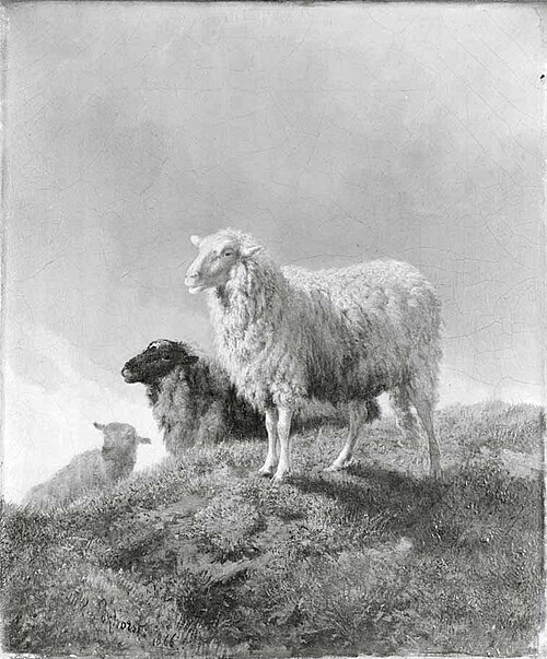 Schapen in een weide, 1866, Dirk van Lokhorst