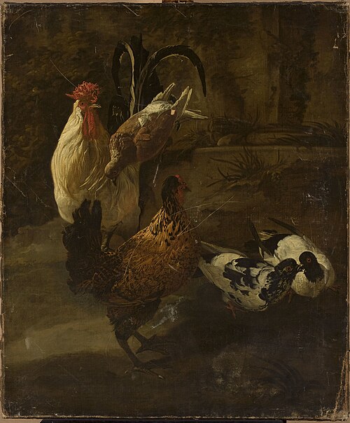 Domestic fowls, 1671, Jacomo Victors