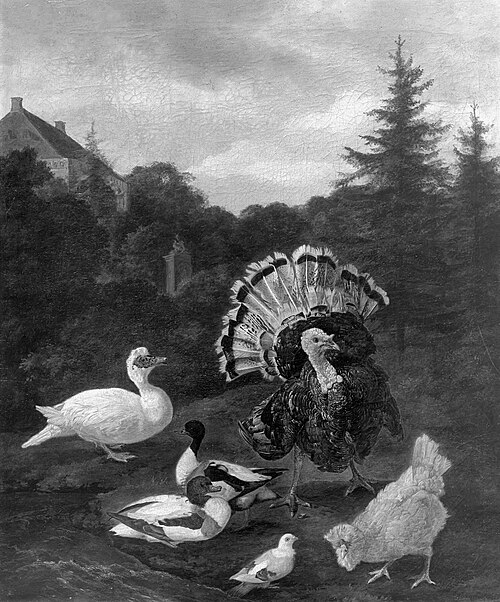 Poultry in the park, 1682, Jacomo Victors