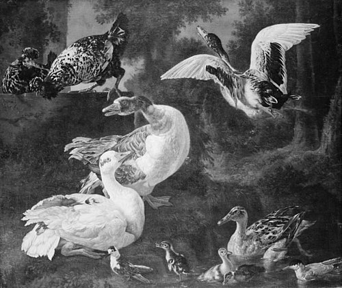 Poultry, 1680, Jacomo Victors
