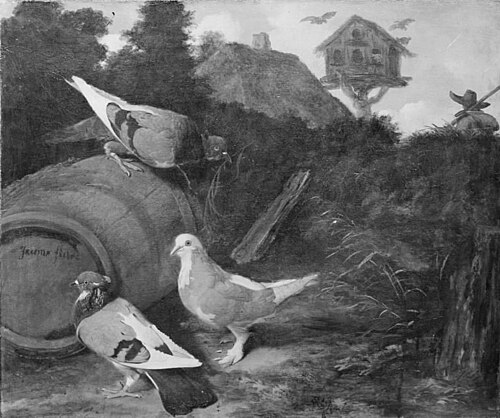 Three Pigeons, 1674, Jacomo Victors