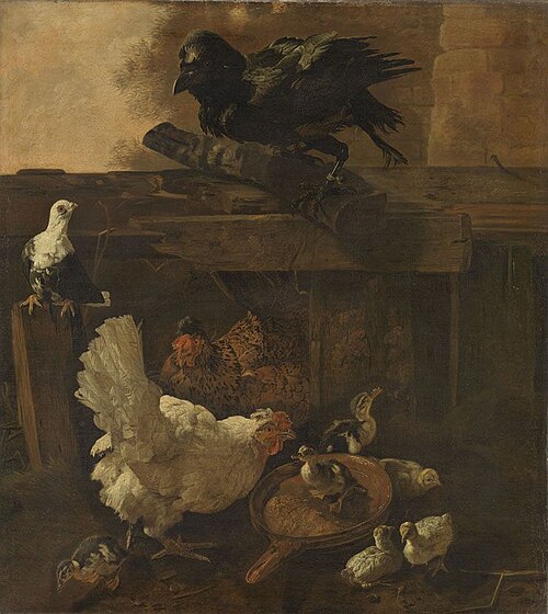 Chicken Yard, 1672, Jacomo Victors