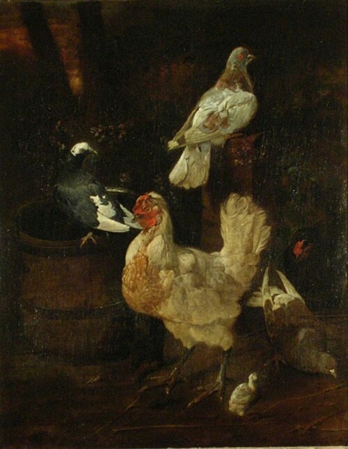Hens and Pigeons and a Wooden Pail, 1672, Jacomo Victors