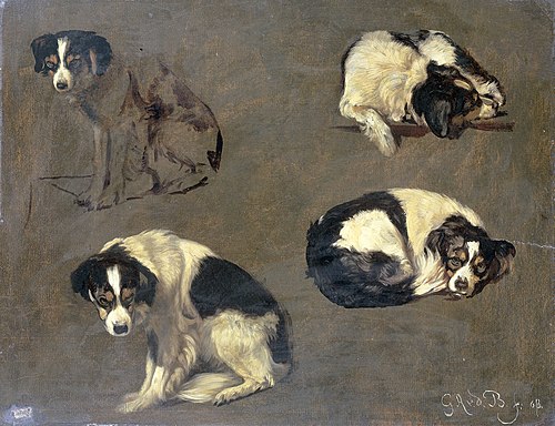 Four Studies of a Dog, 1868, Guillaume Anne van der Brugghe