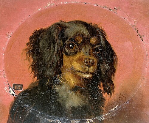 Portrait of a Puppy, 1850, Guillaume Anne van der Brugghe