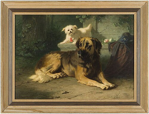 Grote St. Bernard hond liggende in een tuin, 1899, Conradijn Cunaeus