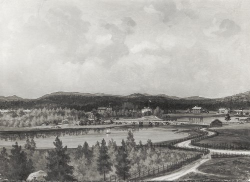 View over Ytterhogdal, Hälsingland, , August Winqvist