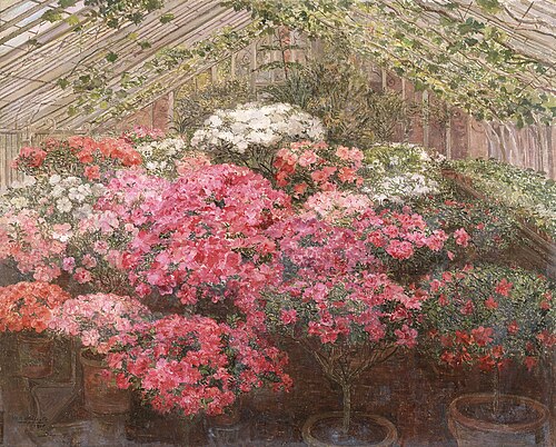 Serre d'azalées, 1905, Marie Antoinette Marcotte