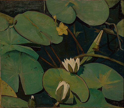 Water Lilies, 1885, Piet Meiners